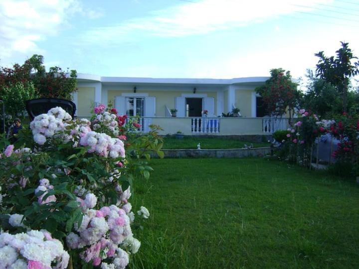 Apartman Zante Summer Retreats - Marietta's Apartment2 Drosia